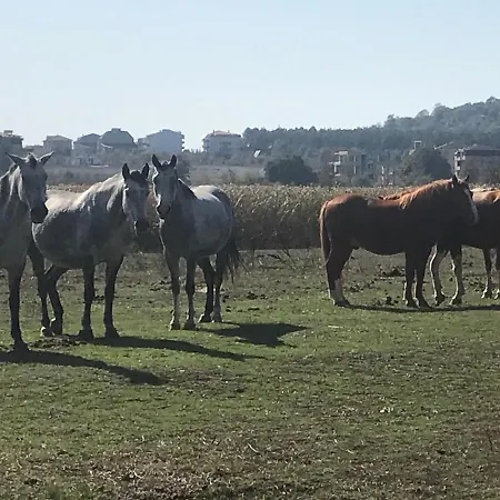 Stamopolu Lux с изглед към морето 酒店 普里莫尔斯科